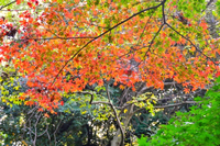 探偵 東京